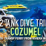 2_Tank_Dive_Trip_Cozumel_with_Tranp_Ferry_from_Riviera_Maya