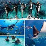 DIVE_AND_DRIVE_COZUMEL_14