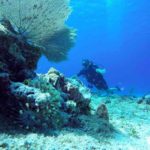 DIVE_AND_DRIVE_COZUMEL_18