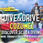 Dive_And_Drive_Cozumel_Discover_Scuba_Diving_With_Transp_Ferry_From_Riviera_Maya
