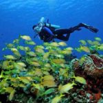 Dive_and_Drive_Cozumel_3