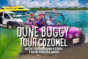 Dune_Buggy_Tour_Cozumel_with_Transp_and_Ferry_From_Riviera_Maya-2